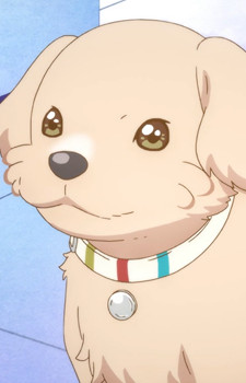 Персонаж Q-chan