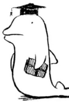 Персонаж Dolphin Calculator