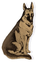 Персонаж Горо