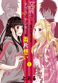 Все персонажи из манги Josou shite Mendokusai Koto ni Natteru Nekura to Yankee no Ryou Kataomoi