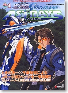 Все персонажи из манги Mobile Suit Gundam SEED Frame Astrays