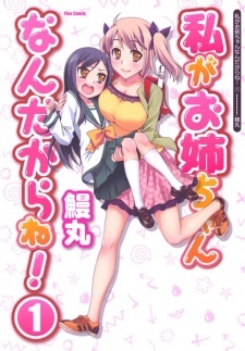 Все персонажи из манги Watashi ga Oneechan Nan Dakara ne!